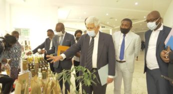 Echanges commerciaux : le Congo veut augmenter ses exportations vers l’Europe_18-10-21